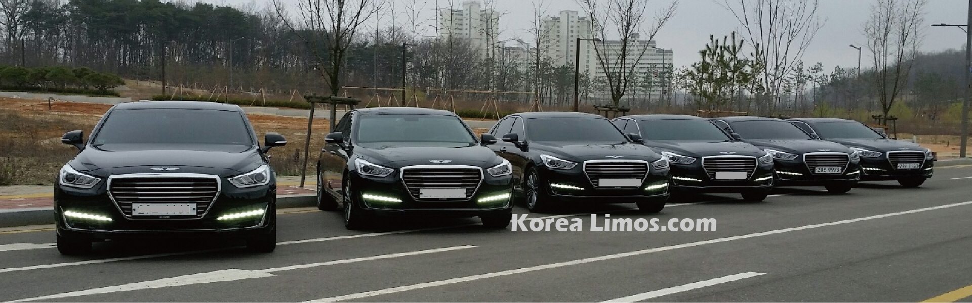 Korea Car Service with driver