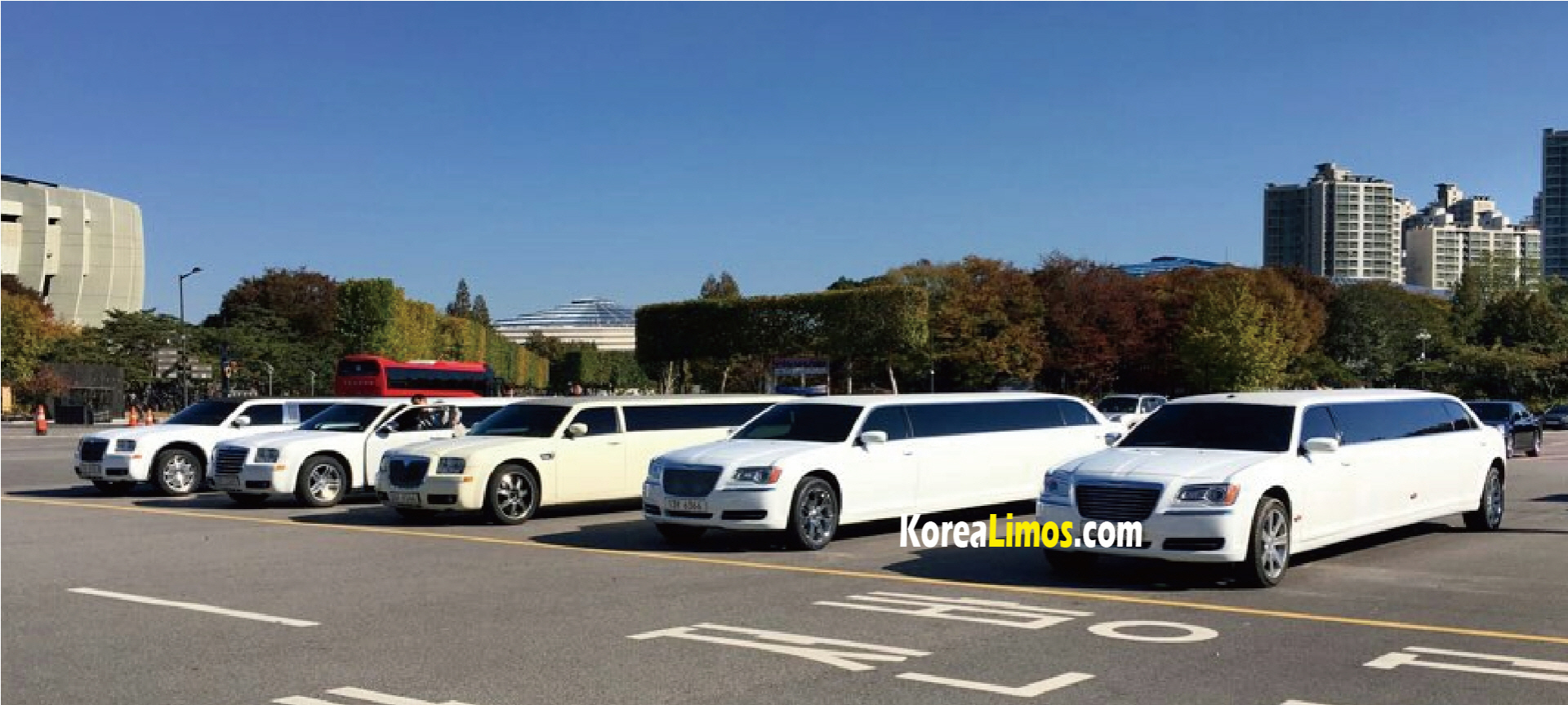 seoul limousine